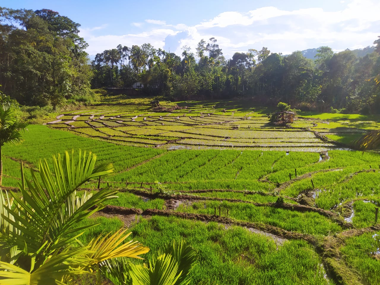 Village to Valley Heritage Trek